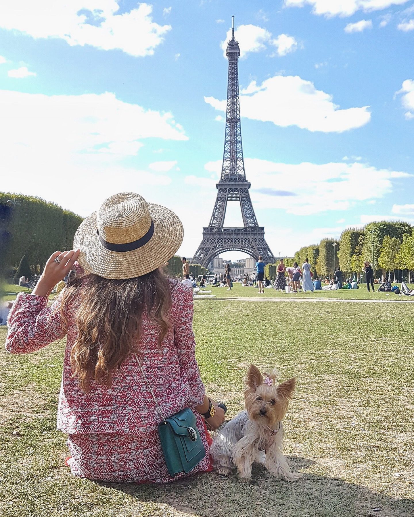 viajar a paris con perro